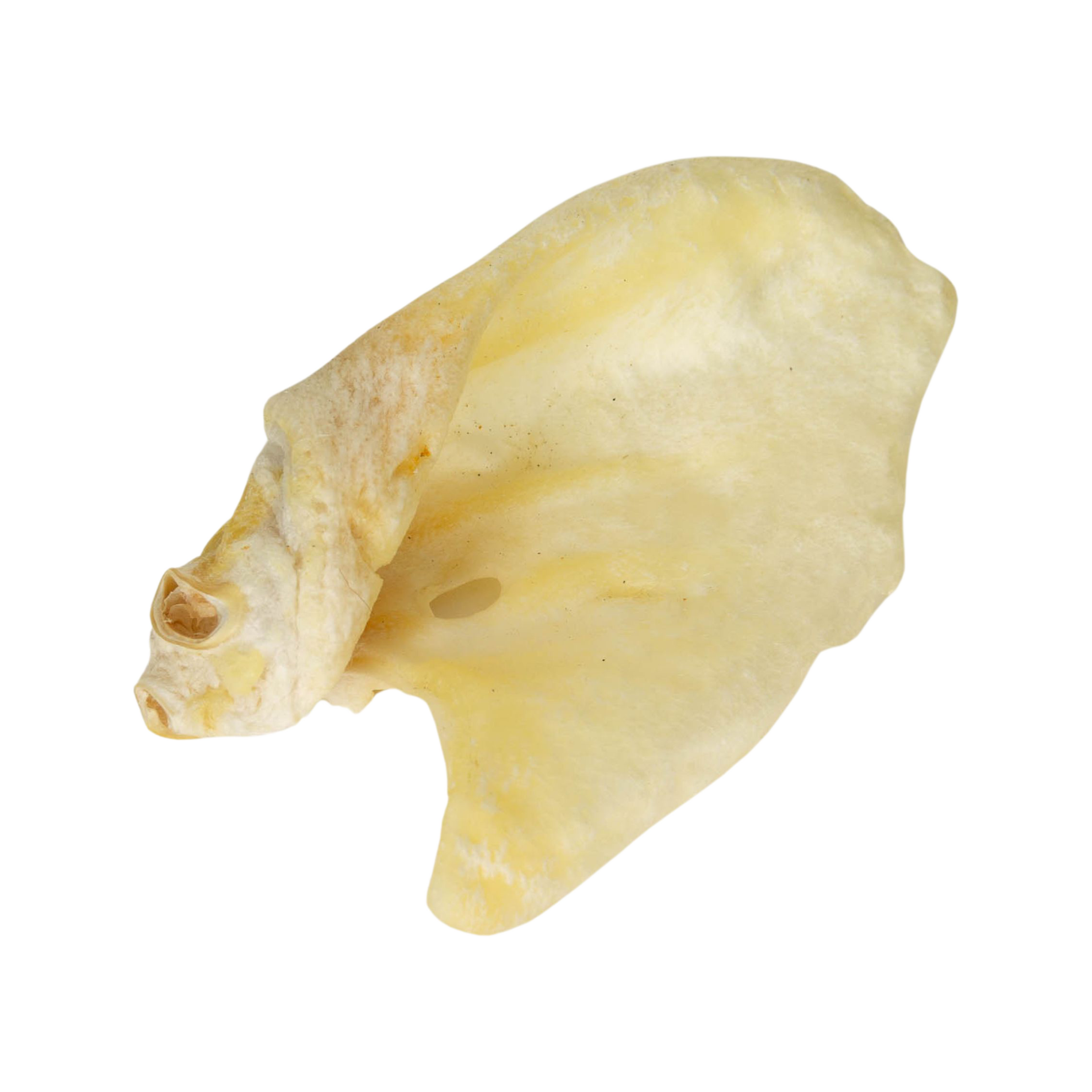 NEKKO NATURAL SNACK Ucho wieprzowe białe 1szt./50g